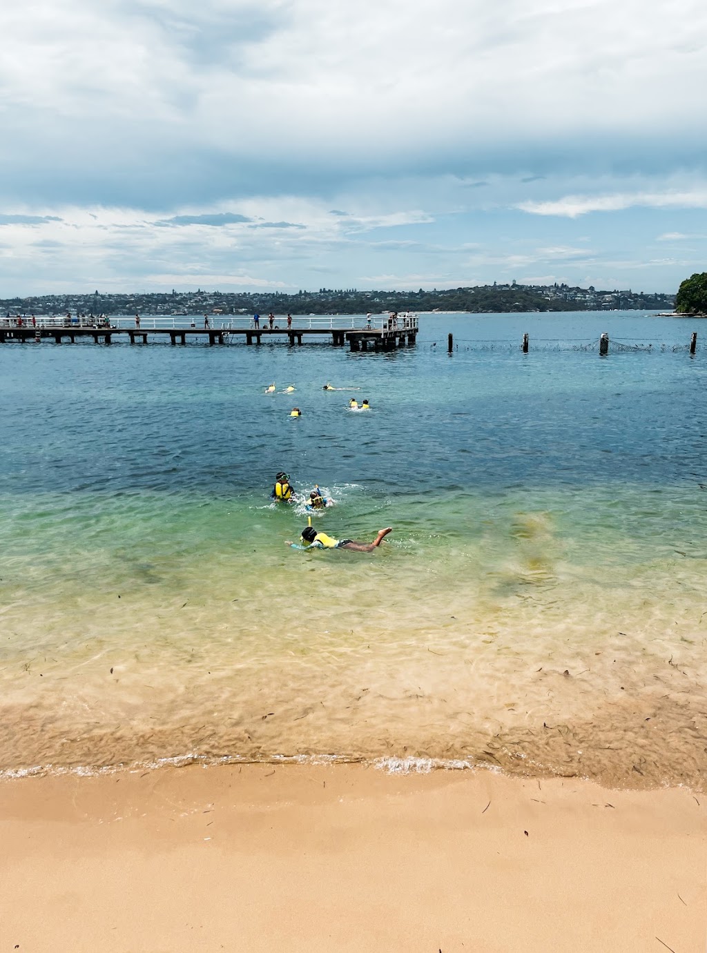 Saltwater School | Lands Edge Foundation | 11A Chowder Bay Rd, Mosman NSW 2088, Australia | Phone: 0490 174 071