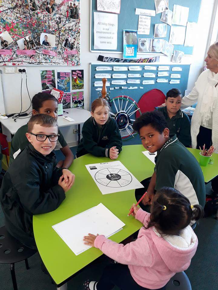 Shelley Public School | 21 Hadrian Ave, Blacktown NSW 2148, Australia | Phone: (02) 9622 8359