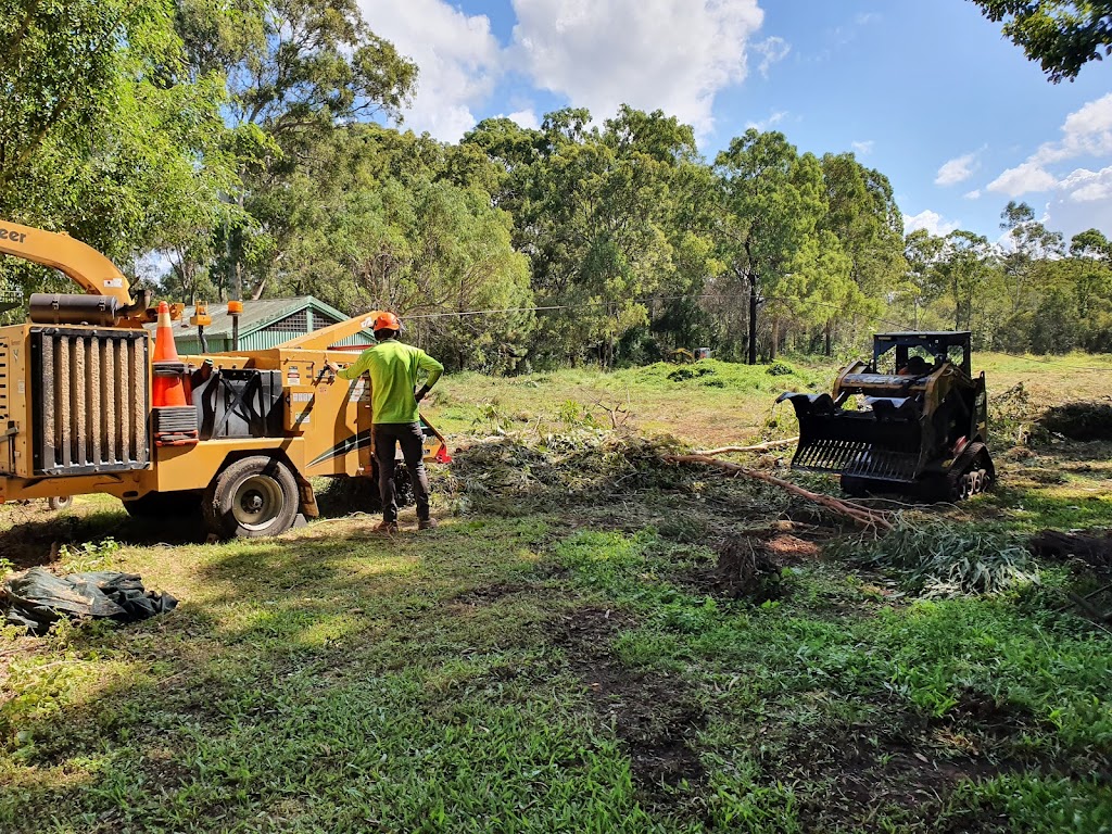 Tree Lopping Gold Coast - Palm Tree Removal & Trimming Experts | 19 Bluetail Cres, Upper Coomera QLD 4209, Australia | Phone: 0466 822 477