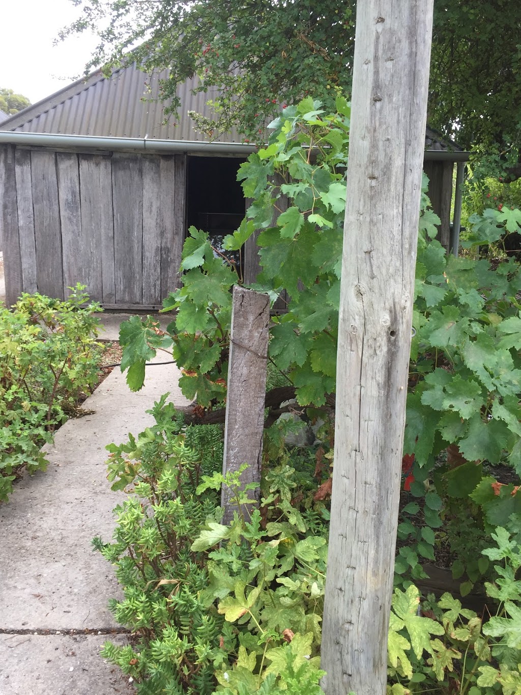 SHARAM COTTAGES | Petticoat Ln, Penola SA 5277, Australia