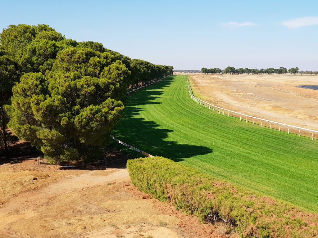 Balaklava Racing Club |  | 18 Racecourse Rd, Balaklava SA 5461, Australia | 0888621503 OR +61 8 8862 1503