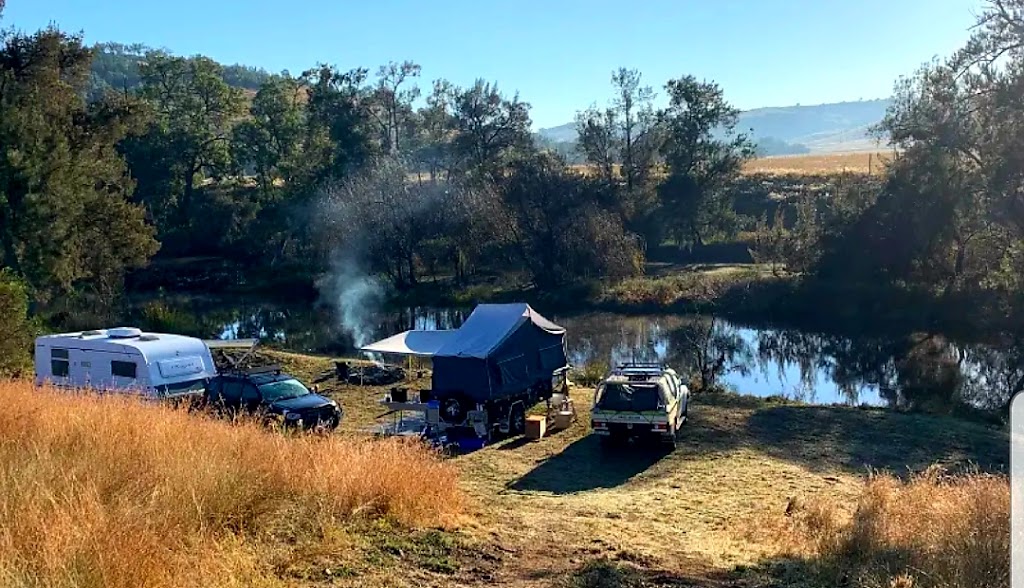 Fernlee River Camping | 557 Pindari Dam Rd, Ashford NSW 2361, Australia | Phone: 0473 358 866