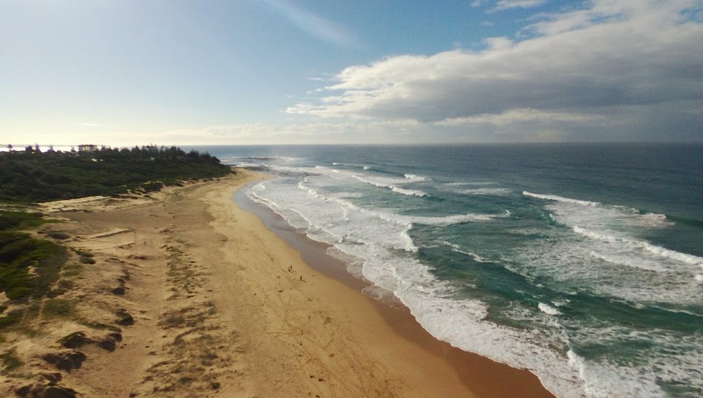 North Shelly Beach Dog Beach | Toowoon Bay NSW 2261, Australia | Phone: (02) 4350 5555