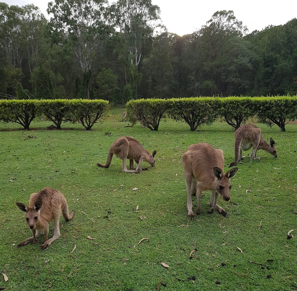 Lakeside Country Club | 433 Brisbane Rd, Coombabah QLD 4216, Australia | Phone: (07) 5594 0196