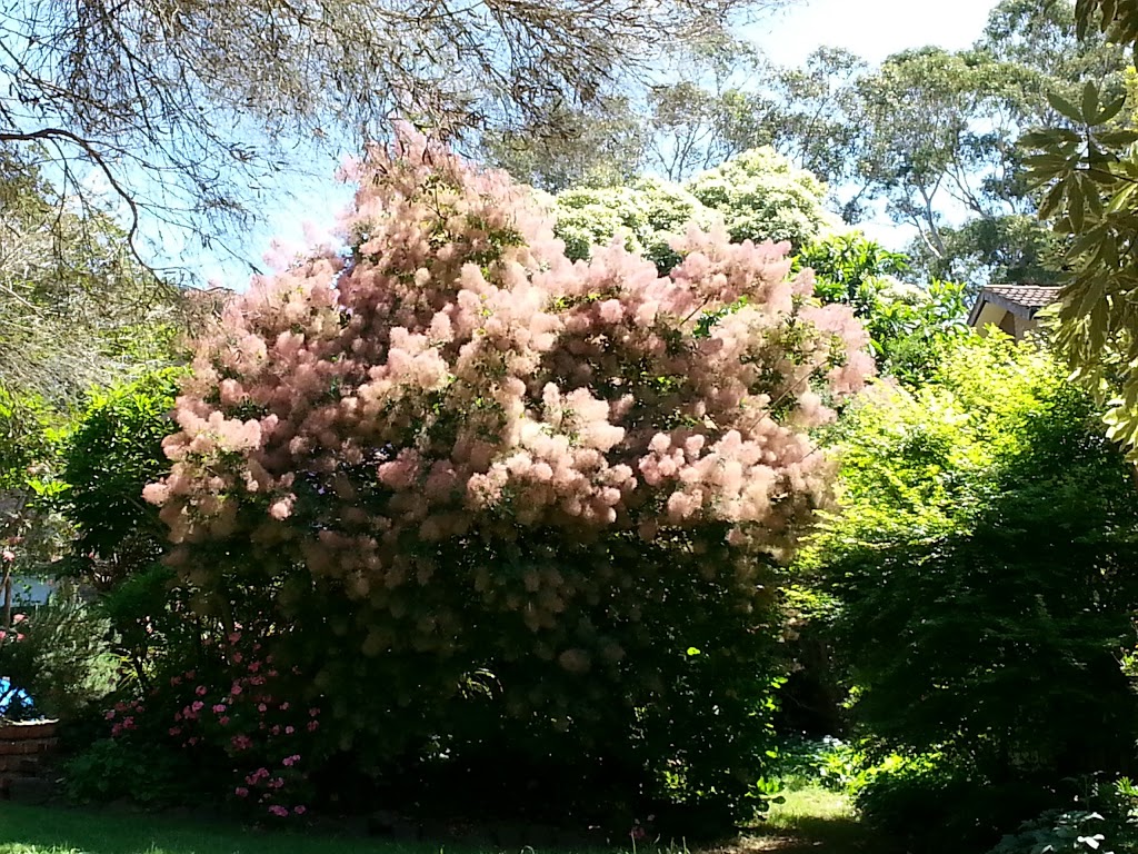 Lower Sweetwater Creek Nature Reserve | Frankston South VIC 3199, Australia | Phone: 97875731