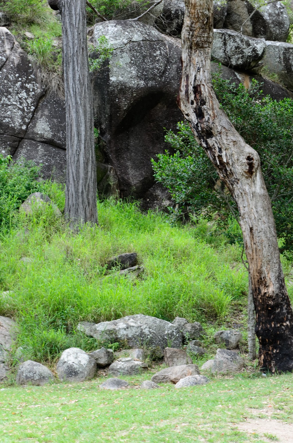 Coomba Falls | tourist attraction | Coomba Waterhole Rd, Maidenwell QLD 4615, Australia | 0741899100 OR +61 7 4189 9100