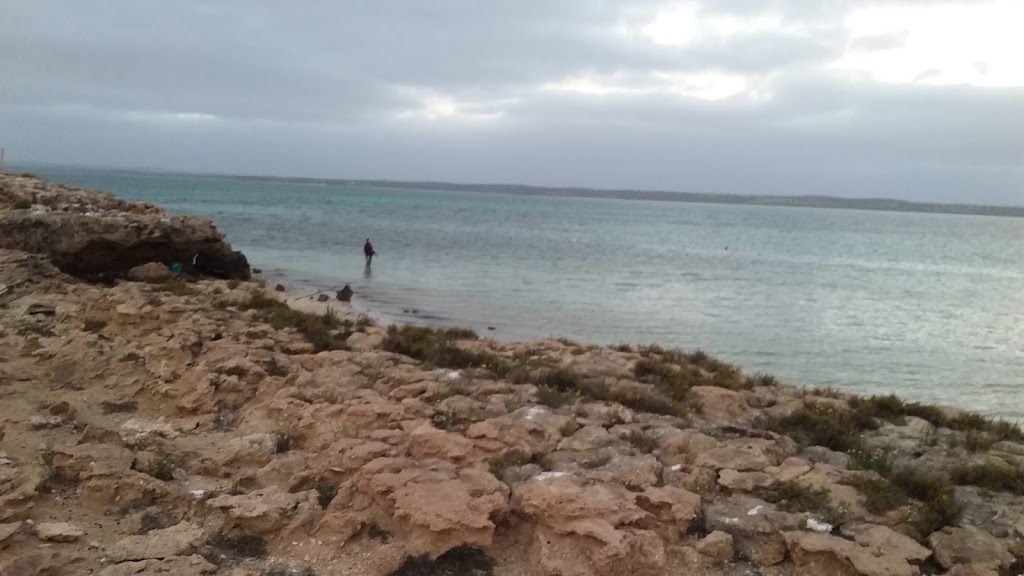 Tamala Station | Tamala Road, Shark Bay WA 6537, Australia | Phone: (08) 9948 3994