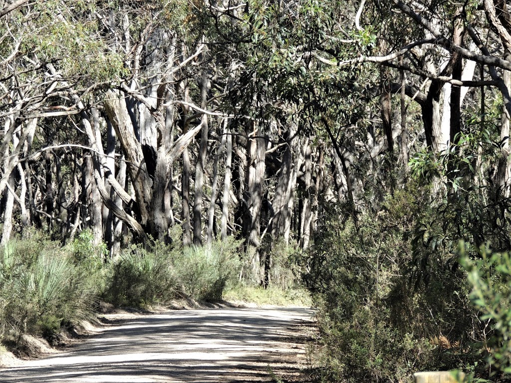 Spring Mount Conservation Park | park | Mount Alma Rd, Inman Valley SA 5211, Australia | 0882041910 OR +61 8 8204 1910