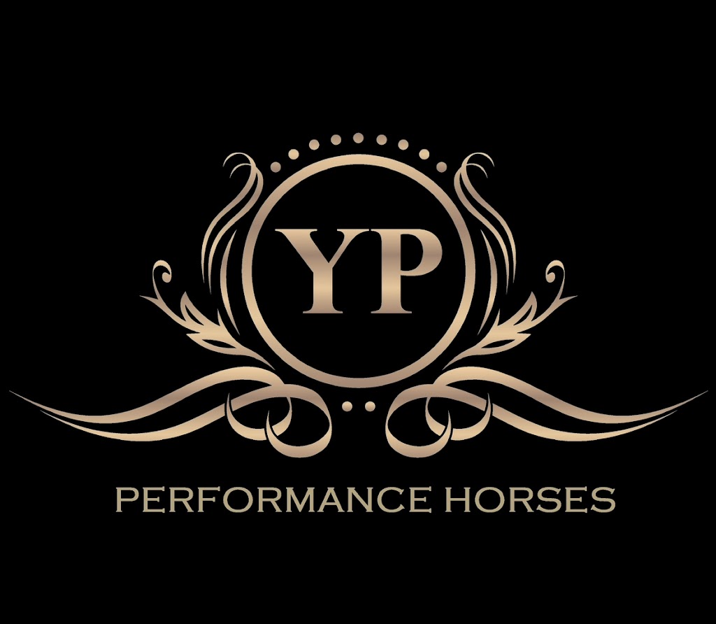 Yeramba Park Performance Horses | 1199 Eukey Rd, Eukey QLD 4380, Australia | Phone: 0474 858 405 Yeramba Park Performance Horses | 1199 Eukey Rd, Eukey QLD 4380, Australia | Phone: 0474 858 405