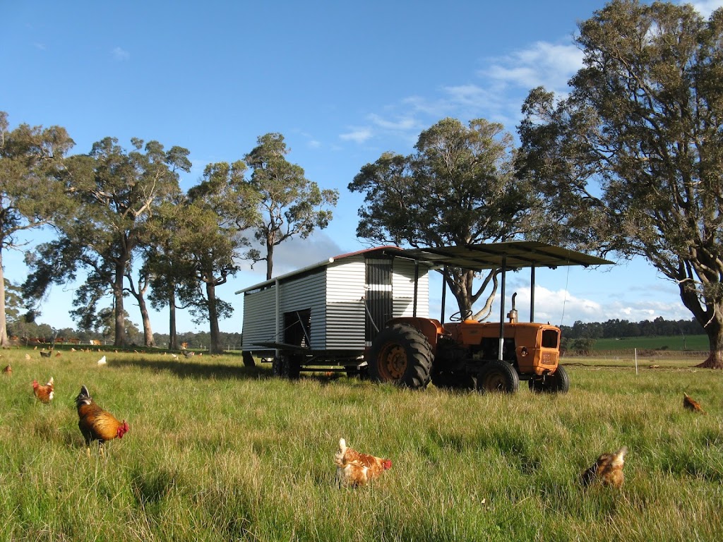 Margaret River Organic Farmer | 2188 Jindong-Treeton Rd, Rosa Brook WA 6285, Australia | Phone: 0423 957 788