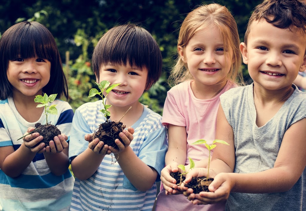 The Learning Terrace Child Care Centre and Preschool | 36 Rees James Rd, Raymond Terrace NSW 2324, Australia | Phone: (02) 4062 8888