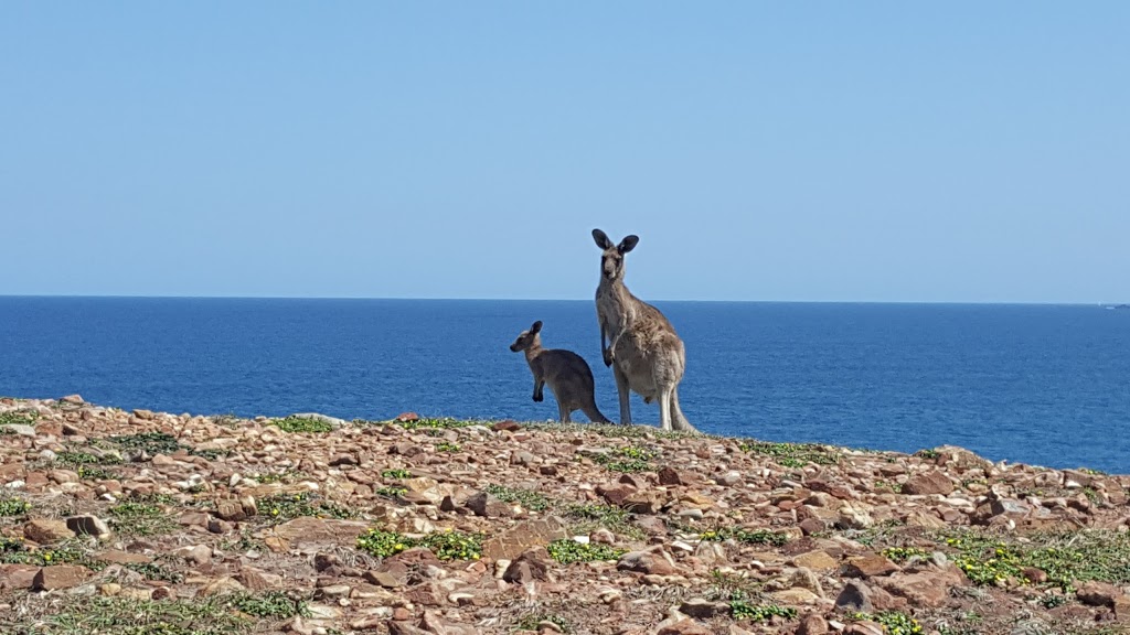 Moonee Beach Nature Reserve | park | New South Wales, Australia