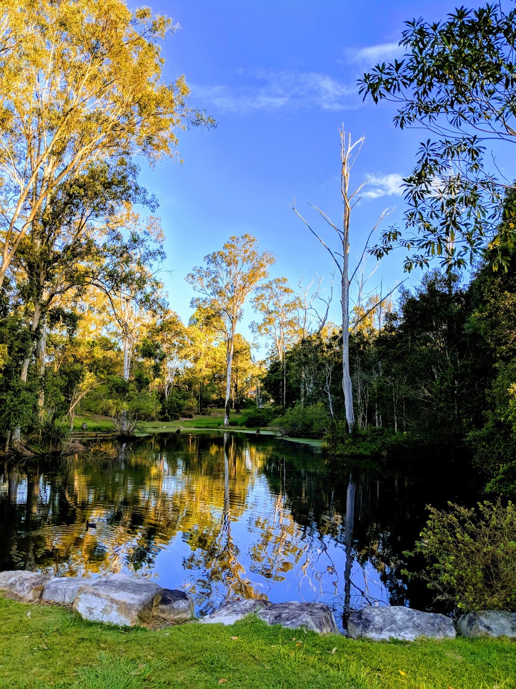 Capalaba Regional Park | park | Pittwin Rd N, Capalaba QLD 4157, Australia | 0738298999 OR +61 7 3829 8999