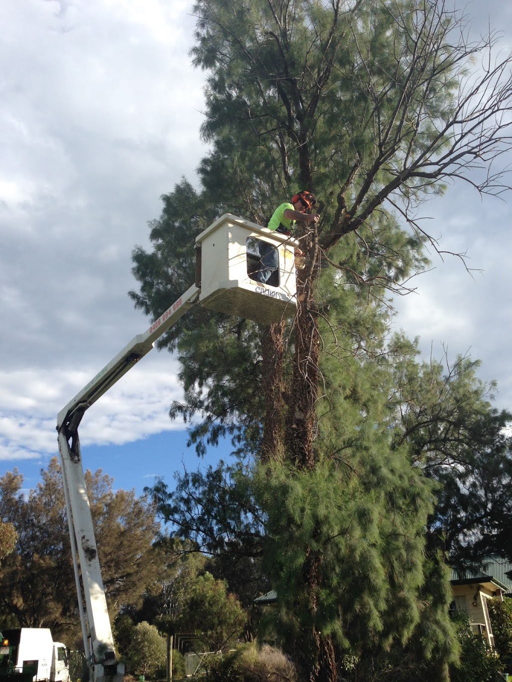 Goolwa Tree Lopping And Removal | 2 Holme Cl, Goolwa Beach SA 5214, Australia | Phone: 0401 942 290