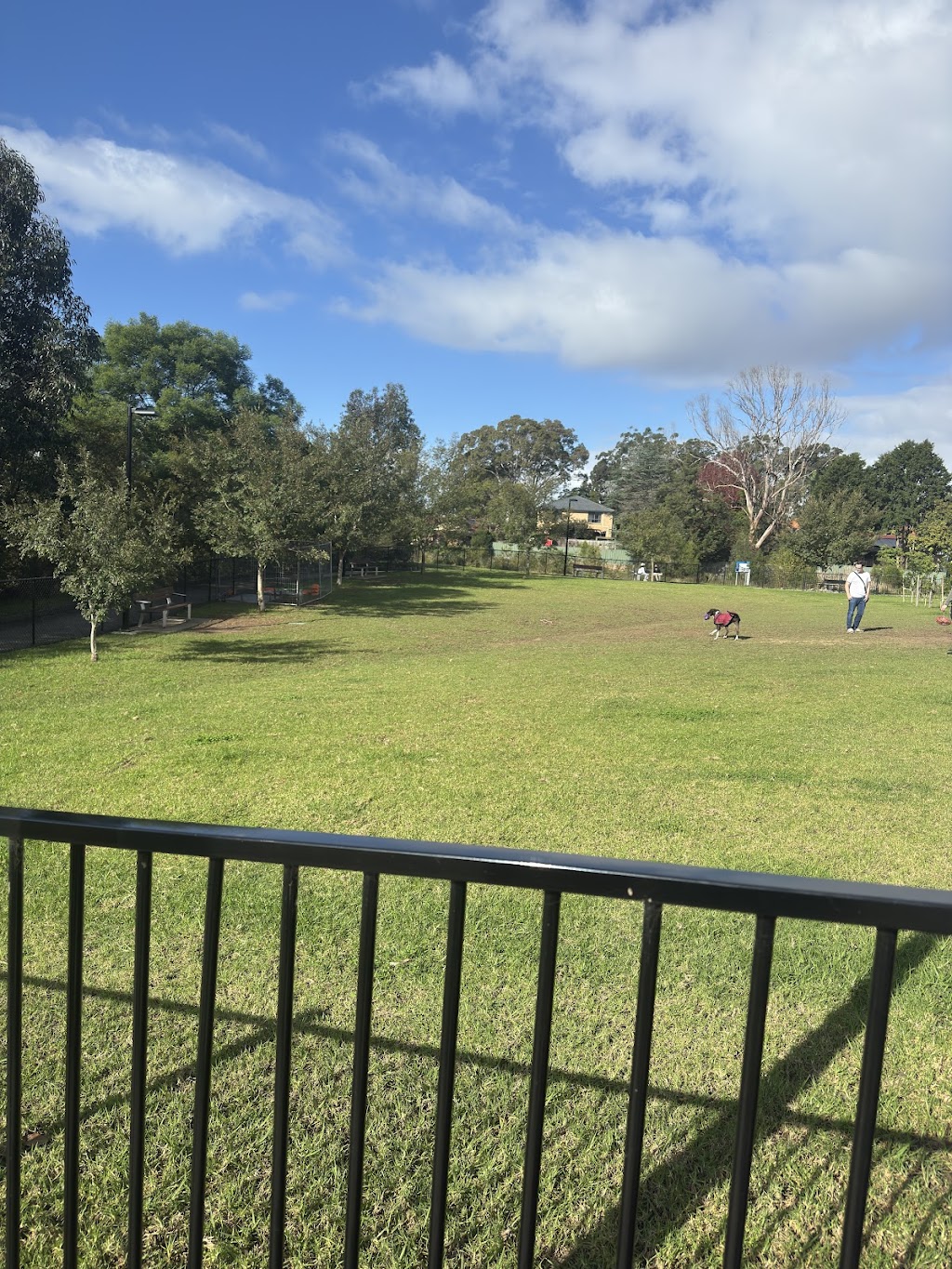 West Epping Park Dog Off-leash Area | 6 Grant Cl, Epping NSW 2121, Australia | Phone: 1300 617 058