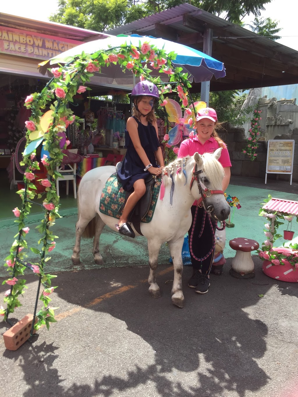 Magical Ponies | 5 Belliss Rd, Mount Nathan QLD 4211, Australia | Phone: 0414 692 706