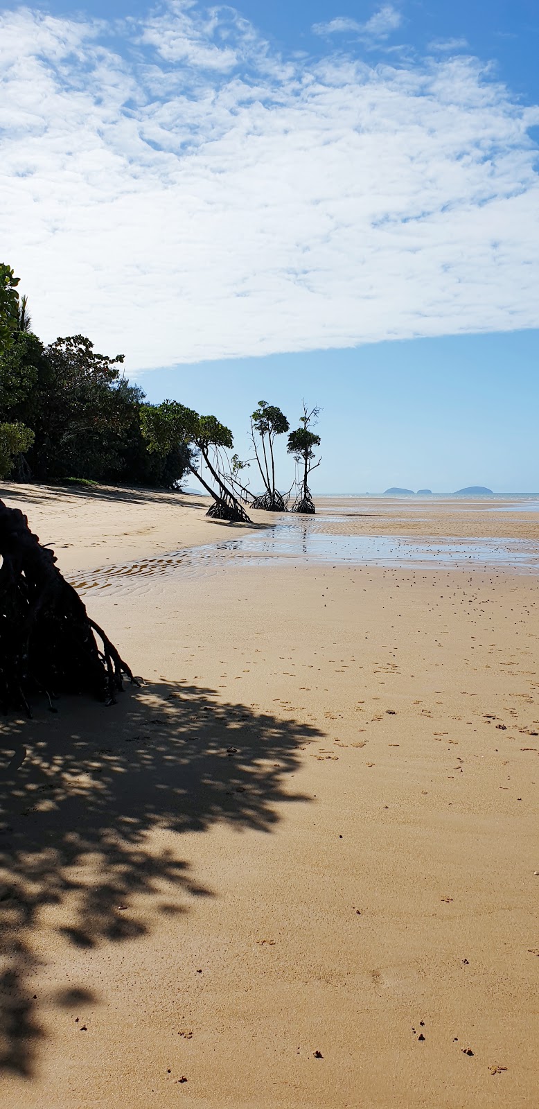 Kurrimine Beach National Park and Kurrimine Beach Conservation P | Kurrimine Beach QLD 4871, Australia