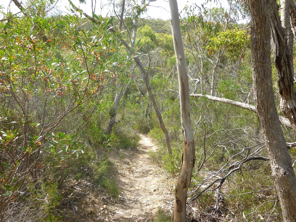 Warren Conservation Park | Mt Crawford Forest, Tower Track, Williamstown SA 5351, Australia | Phone: (08) 8523 7700