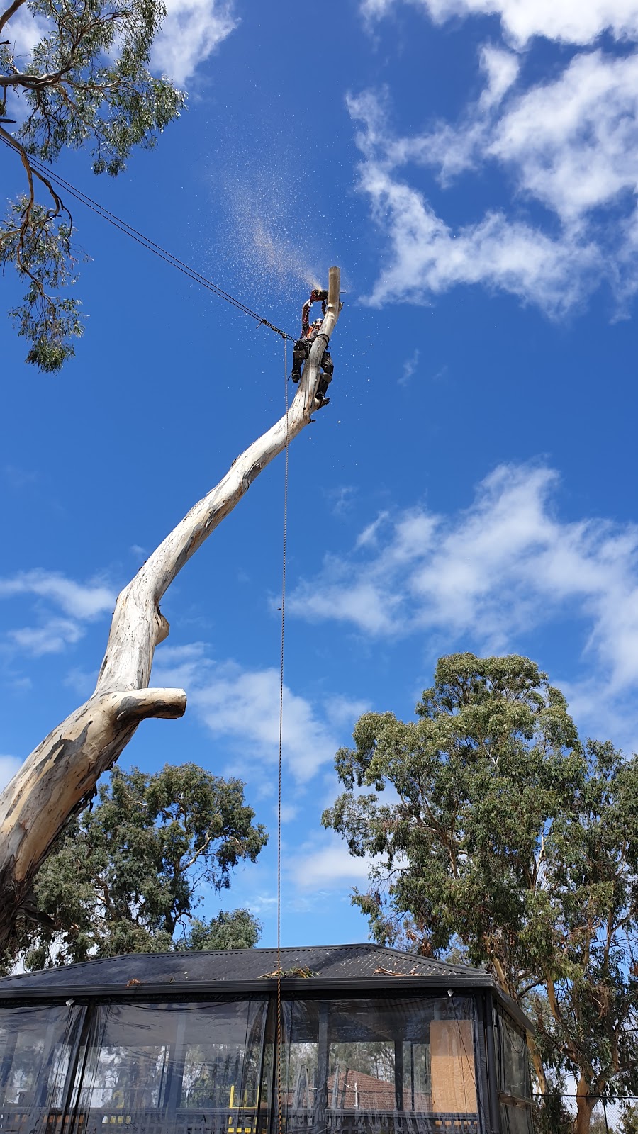 Arbor Co Tasmania | 51 Opus Dr, Acton Park TAS 7170, Australia | Phone: 0413 321 333