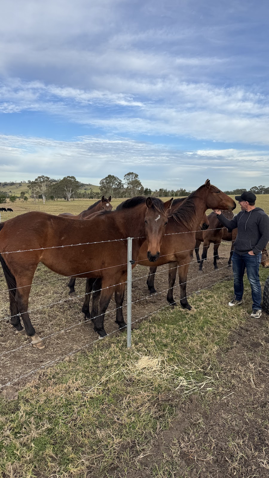 Mattana Farm | 143 Little Frst Rd, Little Forest NSW 2538, Australia | Phone: 0423 055 604