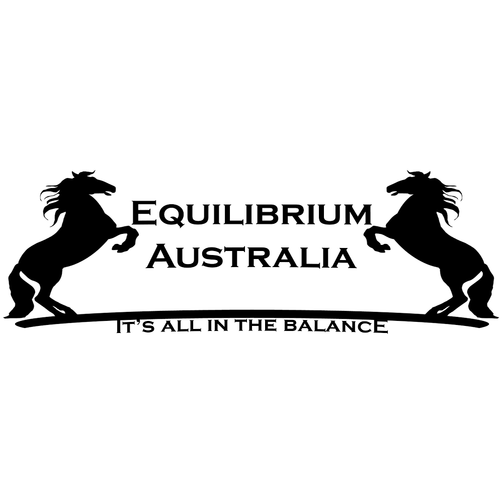 Equilibrium Australia | 5/12 Glasson Dr, Bethania QLD 4205, Australia | Phone: 1300 720 377