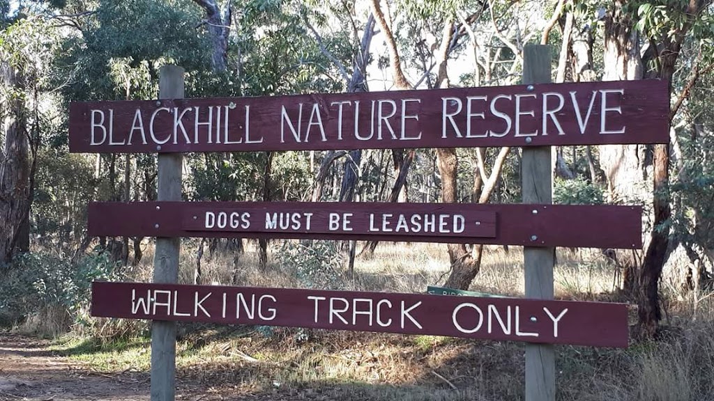 Blackhill Reserve Car Park | parking | 110 Blackhill School Rd, Kyneton VIC 3444, Australia