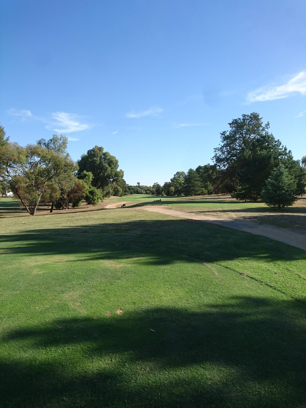 Cobram Barooga Golf Club | cafe | Golf Course Rd, Barooga NSW 3644, Australia | 0358734304 OR +61 3 5873 4304