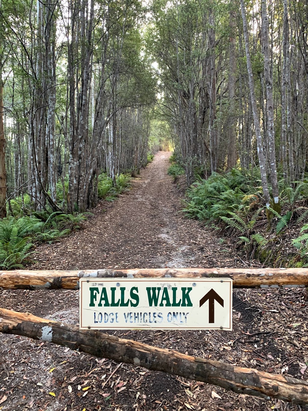 Bridal Veil Falls | park | Moina TAS 7310, Australia