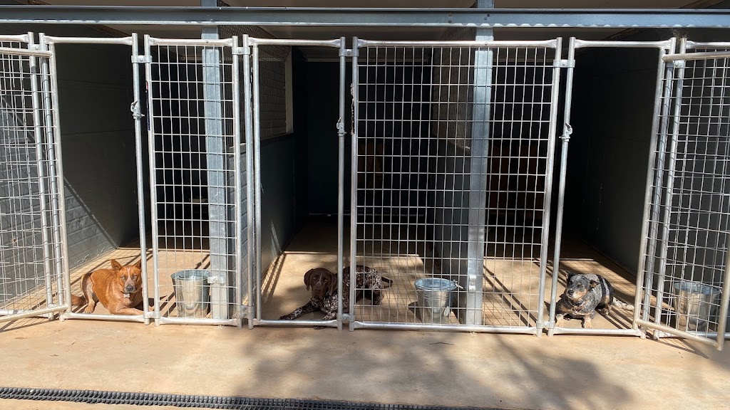 Loose Leads Dog Training | Bakers Swamp NSW 2820, Australia | Phone: 0408 018 946