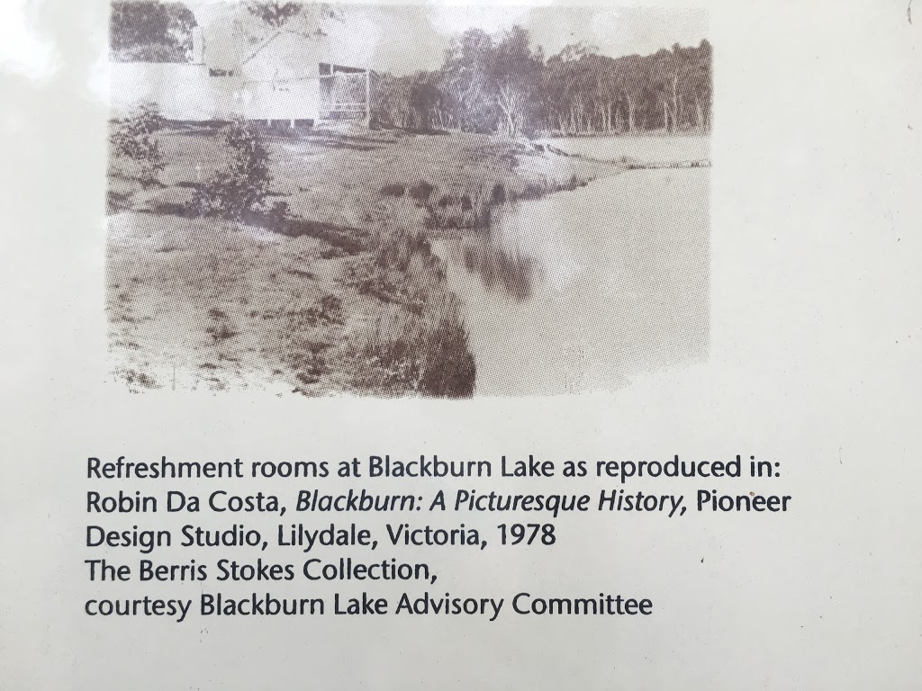 Blackburn Lake - Whitehorse Artists Trail - "Lake near Blackbur | 95 Central Rd, Blackburn VIC 3130, Australia | Phone: (03) 9262 0633