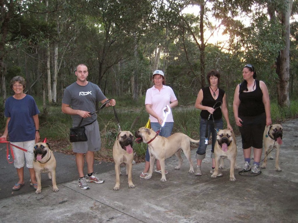 Swanbrook Bullmastiffs | 191 Swan Rd, Jimboomba QLD 4280, Australia | Phone: 0419 666 859