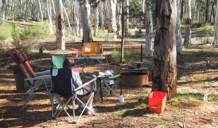 Glendora campground | campground | Andersons Road, Hill End NSW 2850, Australia | 0263378206 OR +61 2 6337 8206