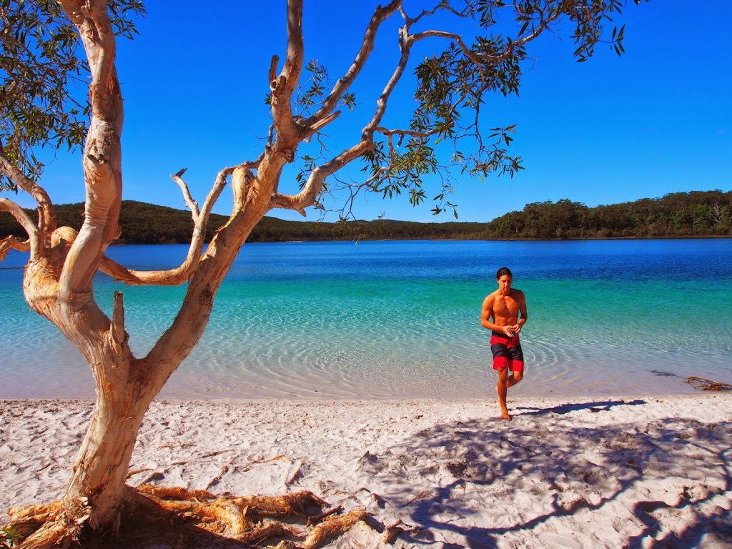 Fraser Island Discovery | 204 Lake Flat Rd, Boreen Point QLD 4566, Australia | Phone: (07) 5449 0393