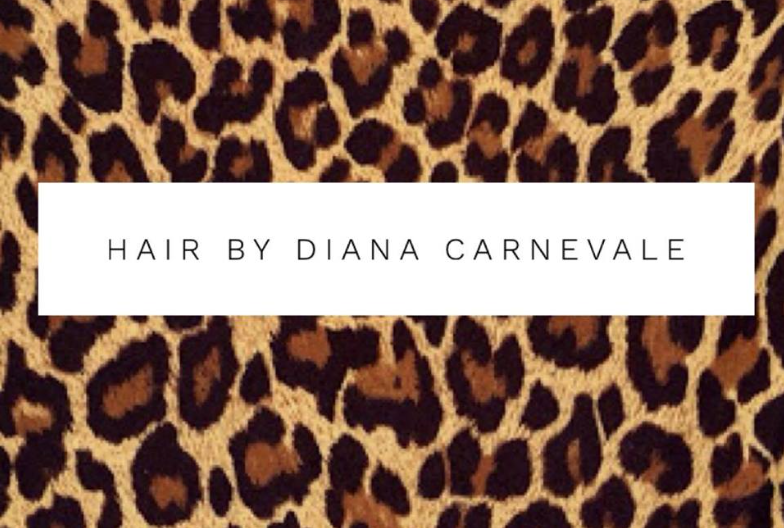 Hair By Diana Carnevale | hair care | 488 Goodwood Rd, Cumberland Park SA 5041, Australia | 0401479386 OR +61 401 479 386
