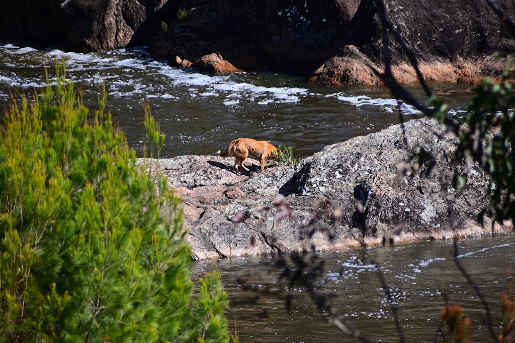 Rockpools View walk | Boonoo Boonoo Falls Walk, Boorook NSW 2372, Australia | Phone: (02) 6739 0700