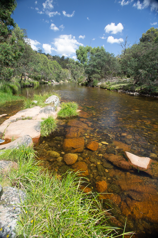 Bundarra River Picnic Area | Bundarra Road, Glen Valley VIC 3898, Australia | Phone: 13 19 63