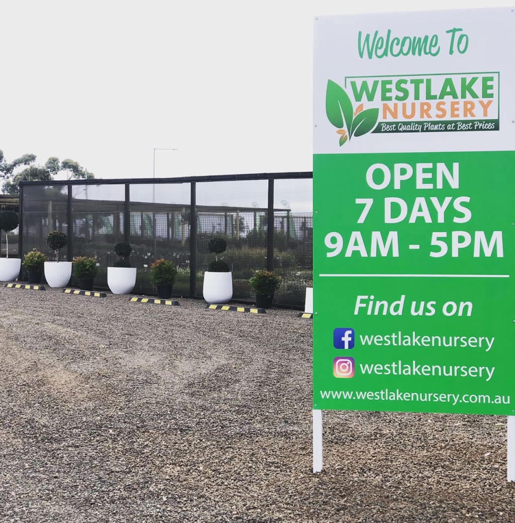 Westlake Nursery - Online Plants & Retail Nursery - Rockbank | store | 1/13 Keating Rd, Rockbank VIC 3335, Australia | 0401886366 OR +61 401 886 366