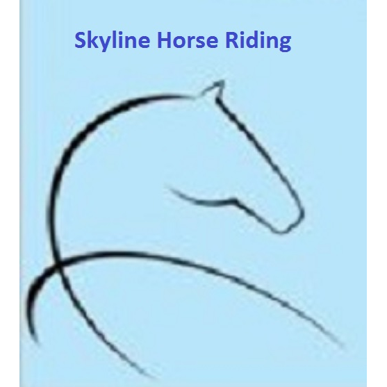 Skyline Horse Riding | 2 Skyline Ct, Draper QLD 4520, Australia | Phone: 0409 875 937