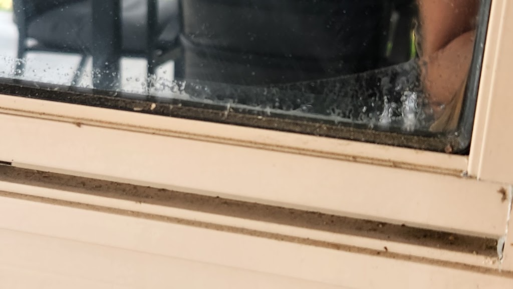 Revolution Tints | 9 Falvey St, Ripley QLD 4306, Australia | Phone: 0488 971 441