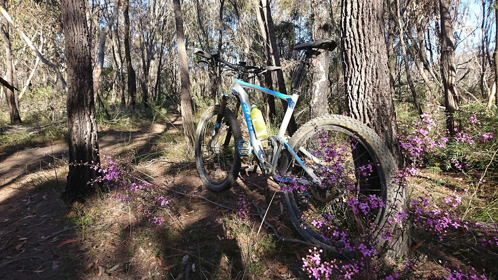 Loftus MTB park | park | Loftus NSW 2233, Australia