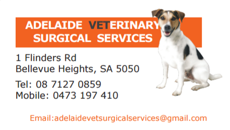 Adelaide Veterinary Surgical Services | veterinary care | 1 Flinders Rd, Bellevue Heights SA 5050, Australia | 0473197410 OR +61 473 197 410