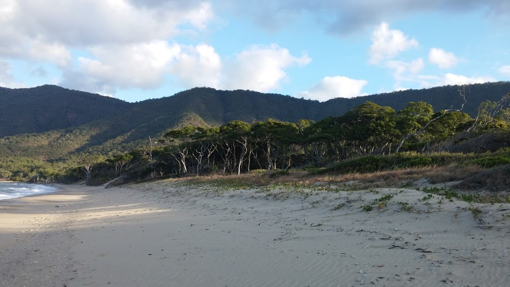 Wangetti Beach | park | Wangetti QLD 4877, Australia