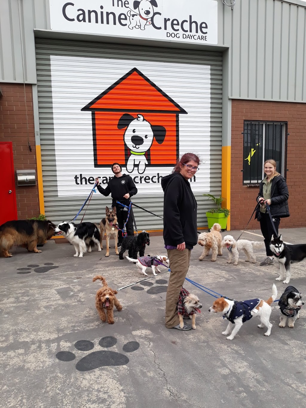 The Canine Creche | 6 Temple Dr, Thomastown VIC 3074, Australia | Phone: 0429 601 499