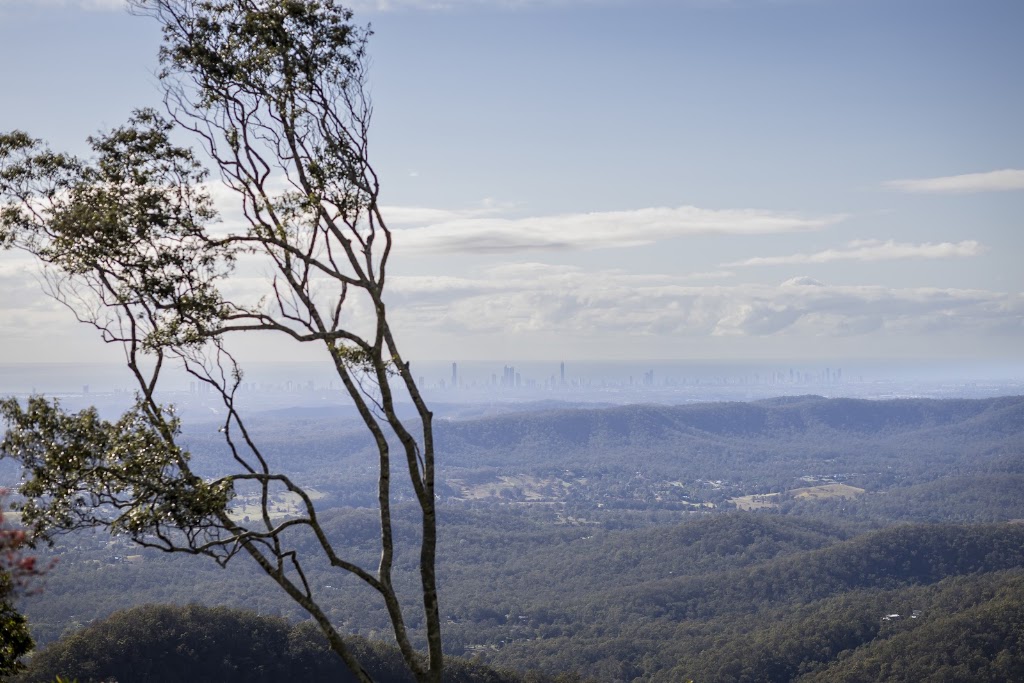 Highgarden Estate | 268 Long Rd, Tamborine Mountain QLD 4272, Australia | Phone: 0477 004 870