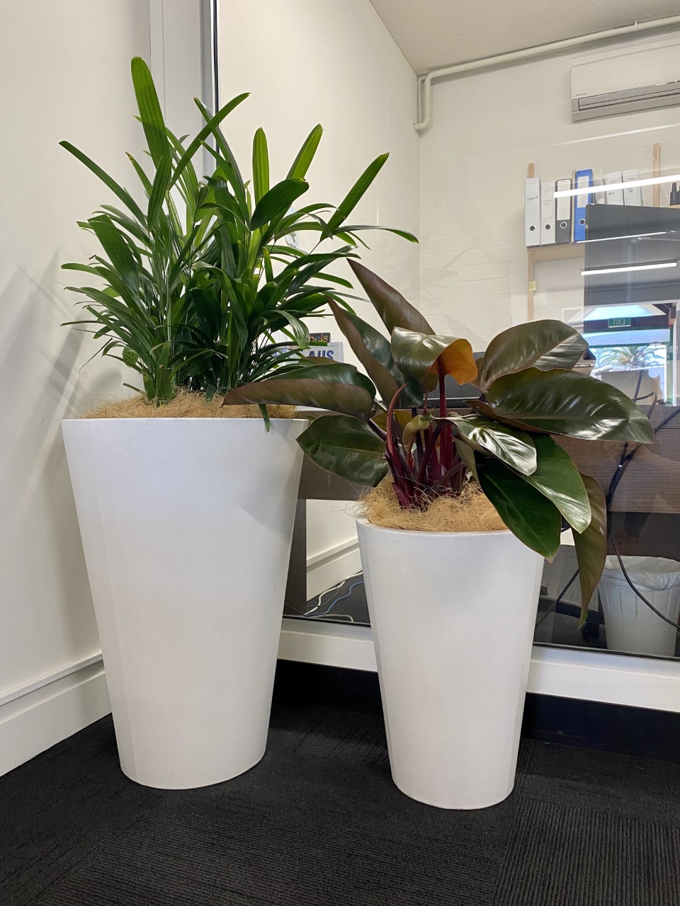 Green Vision Planters | 82 Florence Pl, Oakford WA 6121, Australia | Phone: 0473 350 723