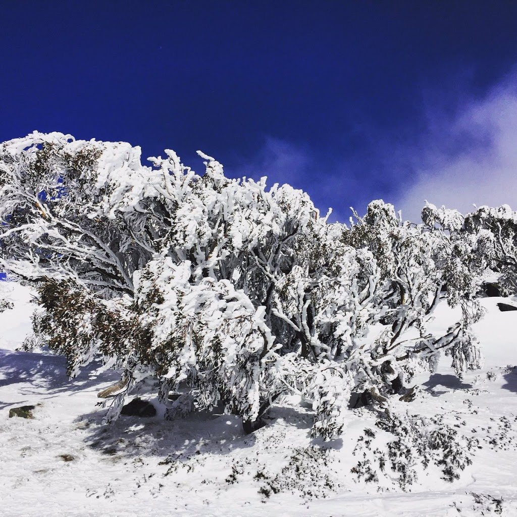 Snowy Mountain Spa | spa | Mountain Spa c/o The Man from Snowy River Hotel, Kosciuszko Rd, Perisher Valley NSW 2624, Australia | 0264575234 OR +61 2 6457 5234