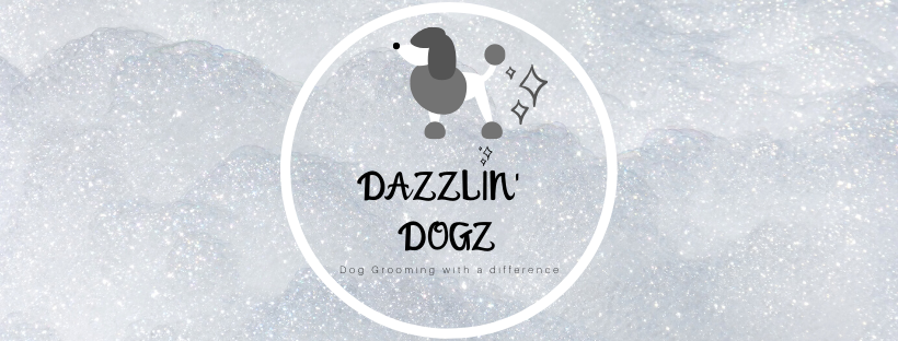 Dazzlin Dogz | 9 Patrick Cres, Saratoga NSW 2251, Australia | Phone: 0427 193 322