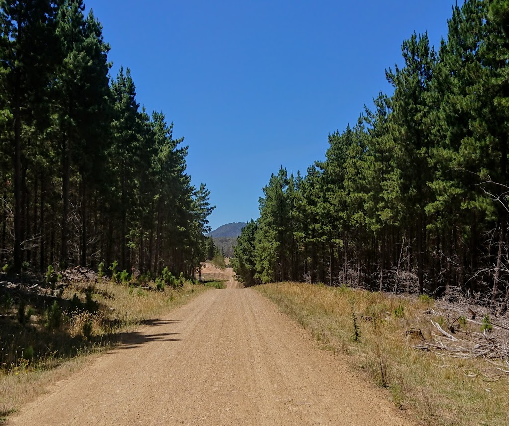 Mount Samaria State Park | park | Victoria, Australia