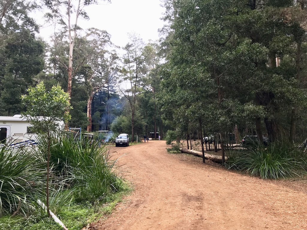 Big Brook Arboretum | campground | Rainbow Trail, Pemberton WA 6260, Australia | 0897761207 OR +61 8 9776 1207