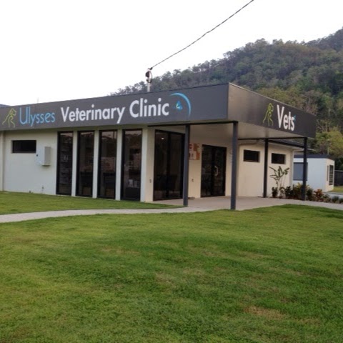 Ulysses Veterinary Clinic Cairns | 37 Johnston St, Stratford QLD 4870, Australia | Phone: (07) 4055 1100